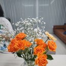 제우스 | 대구 동성로 꽃집 제우스플라워 방문후기