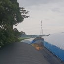 당산농장 Daum카페