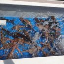 강산횟집 이미지