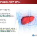 지방간 증상 지방간 원인 치료 지방간 좋은 음식 지방간 영양제 이미지