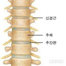 몸편한보건안마원