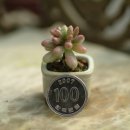 수월초등학교 이미지