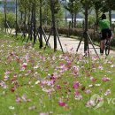 생태공원편의점 이미지