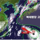 행정사 사무소 단비 이미지