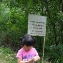 상남어린이집 이미지