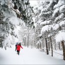 강산목장 이미지