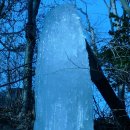 신안동주민센터-1 이미지