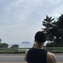 제주명품쑥보리빵