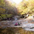 지리산 피아골, 그 화려한 단풍 속에 빠지다 이미지