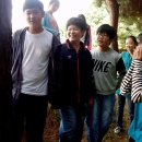 고리울초 이미지