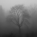 마음지기정신건강의학과 이미지