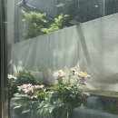 로이스바이앤티진 | [청라 카페] 커피도, 브런치도 맛있는ㅣ로이스바이앤티진ㅣ내돈 내산 후기