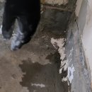 예가직업전문기술학원 등록하고 타일기술배우기