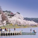 꽃피는 봄이 오면 이미지