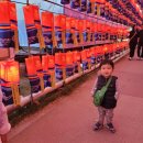 유등농장 이미지