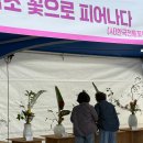 강서구-23 이미지