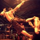 타이라오 이미지