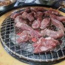 마포숯불갈매기 - 유성구 원신흥로55번길 20 | 마포숯불갈매기