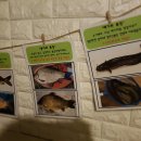 인천낚시터 이미지