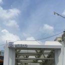 우리네갈치조림 | 남대문시장 갈치골목 갈치조림 맛집 남대문시장 우리식당 내돈내산 후기 필독정보