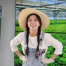 메타팜
