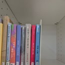 비오는 날의 화덕피자, 나폴리회관 강남역점 다녀온 후기