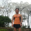 금주 토요일 벚꽃길 달리기 번개훈련 함께해요^^ 이미지