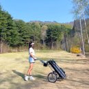 링스골프존 | 더스테이힐링파크 링스파3 | 감각과 밸런스를 되찾는 숏게임 필드