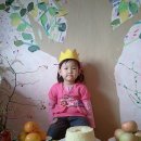 진가연 Daum카페