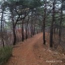 조산공원길 이미지