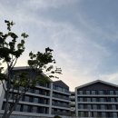 153식자재마트 | 14개월 상전 따님과 함께한 구룡포 힐링 여행(경북대학교 경북대학교병원 인재원)