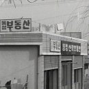 돈버는 패밀리 네이버블로그