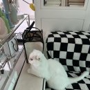 죽이야기 수송점 이미지