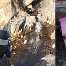 빈스하우스 이미지