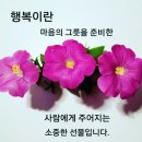 훈화 답장글...Responding to a letter... 이미지