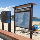 서생농업협동조합 진하지점 | [해파랑길 04코스] 임랑해변~진하해변(18.8km/7시간 30분)