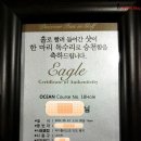 오션공칠일 | [스카이72블로거]생애 첫 샷이글, 스카이72 오션코스