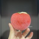 바밤 | 러쉬 버블바·배쓰밤 비교 후기｜애플 크럼블 버블룬 &amp; 가디스 힐링 입욕템 추천