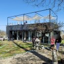 경하목장 | 천안성환예쁜카페 :: 루프탑에서 바라본 배밭뷰가 환상적인 동민목장, 배꽃피는시기