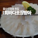 새울산약국 | 울산 신정동 맛집 회바다 포장받아 남구 시청 신정시장 근처 횟집 점심특선 추천