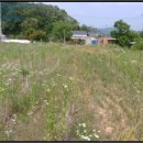 어유포리 마을회관 이미지