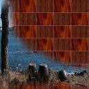 그바다에 가면 이미지