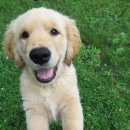 친구가 될 동물병원 이미지