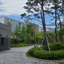 해빛초등학교 앞 이미지