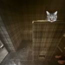 샤모니 | [프랑스] 샤모니 QC terme 종일권 후기/ 수영복 꿀팁/간식