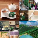 유원상역(주) | 미얀마여행 기념품 1위 집에서 즐기는 홈카페 II 로얄 미얀마 밀크티 II