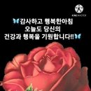 狗猛酒酸(구맹주산) 이미지