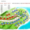 트리캠핑장 이미지