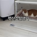 제1산소(의료용산소판매업) | 강아지 산소방 고양이 산소방 대여 세이버펫산소발생기