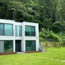 도그버디 이미지